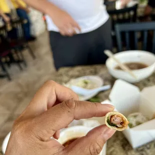 The shrimp rolls seem to be missing the shrimp