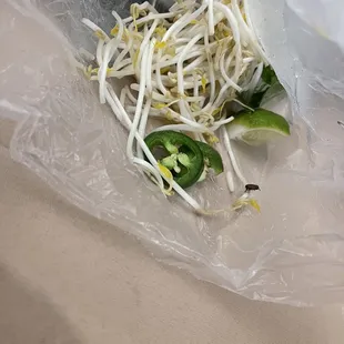 Bug in the vegetables of the spicy beef stew I ordered. Absolutely disgusting!