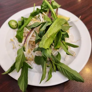 Bean sprouts, coriander, basil, lime, jalapeños