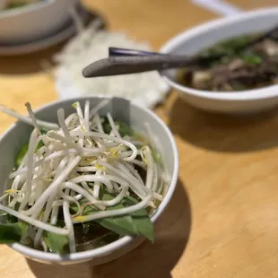 noodle dish, noodle soup, noodles, ramen, food, ramen and noodles