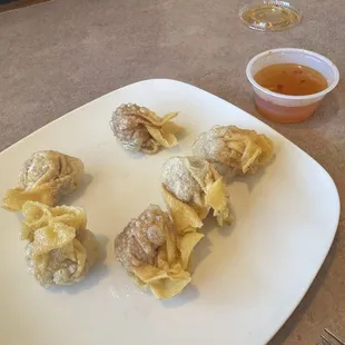 Wontons