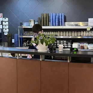 sushi and sashimi, interior