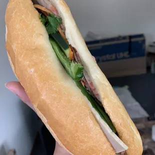 a hand holding a sandwich