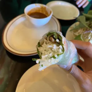 Shrimp and beef spring rolls