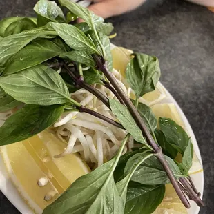 Basil Jalapeno Bean Sprouts and Lemon
