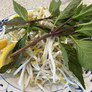 noodles, noodle dish, food, ramen, noodle soup, ramen and noodles