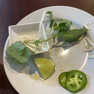 4 usable basil leaves