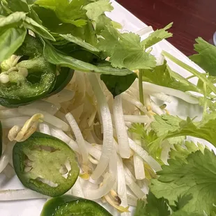 Pho extras! Cilantro,  Mint, fresh sliced jalapeños,  and fresh bean sprouts.
