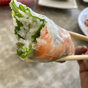 3.11.21 ~ Spring Roll up close