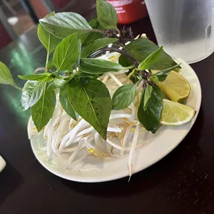 noodle soup, noodle dish, noodles, food, ramen and noodles, ramen