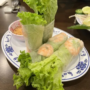 A1. Spring Roll