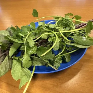 A lot of fresh herbs FTW