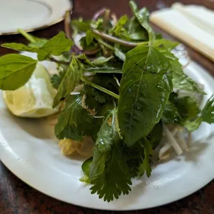 Salads that go inside the special combo rice noodle with thin slices of medium rare steak