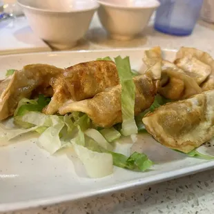 Gyoza