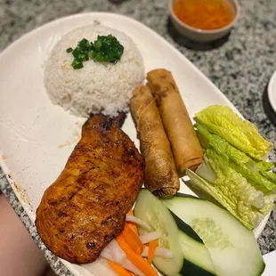 Chicken and rice plate