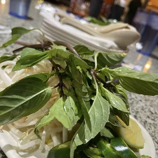 noodle soup, noodles, noodle dish, ramen and noodles, food, ramen