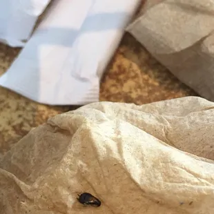Pho with roach obviously!