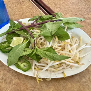 noodle dish, noodle soup, noodles, ramen, food, ramen and noodles