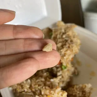 THERE WAS A FREAKING ROCK IN MY RICE!