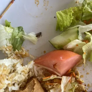 Cockroaches in the salad