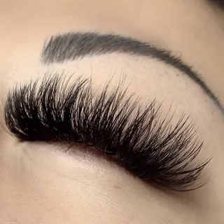 Lash T.
