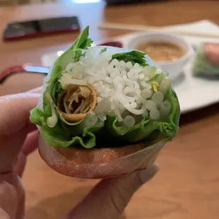 Spring Rolls