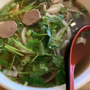 Combination PHO. Amazing flavor and liked how it had more tripe than other places.