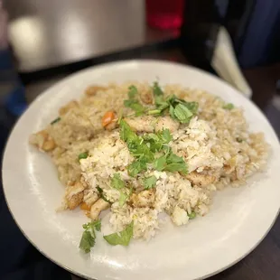 F1. Chicken Fried Rice