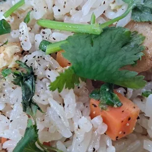 F1. Chicken Fried Rice