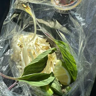 Fresh vegetables for Pho