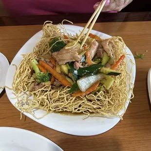 Fried Crispy noodle over a Smokey sweet brown sauce.