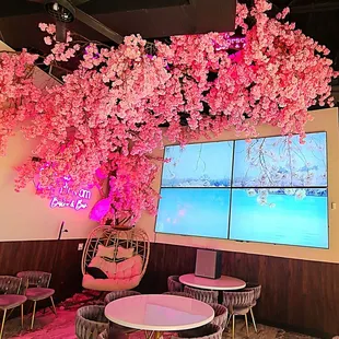 Beautiful sakura - cherry blossoms - towards the back