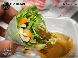 Pho Ha Noi