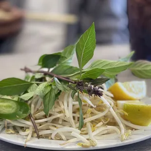 a plate of sprouts and lemons