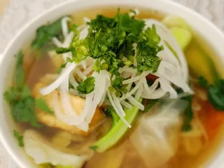 Pho99Plus