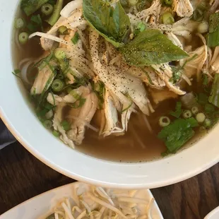Chicken Noodle Soups