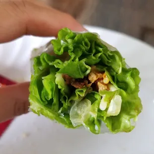 4. Goi cuon thit. Charbroiled Meat (beef) Spring Roll.. Nothing but lettuce. Very disappointing for $6.95 (2 pieces).
