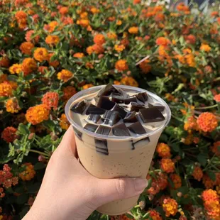 Coffee Grass Jelly Drink