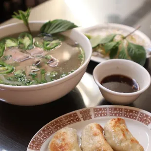 Steak pho and dumplings