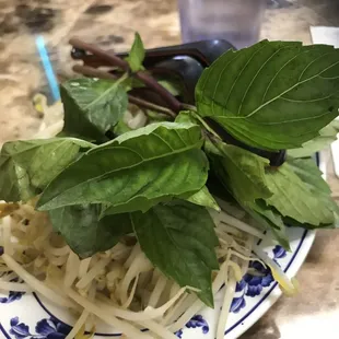 Fresh Basil with steamed sprouts