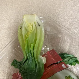 Dirty vegetables