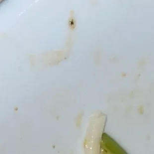 multiple bugs in 3 vegan pho dishes 04/09/23 6:25pm