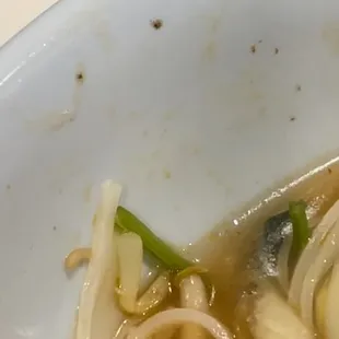 multiple bugs in 3 vegan pho dishes 04/09/23 6:25pm