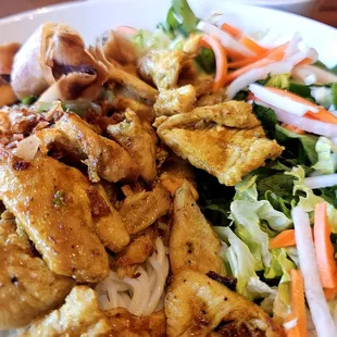 Chicken curry with spring rolls, salad, noodles and dipping sauce.