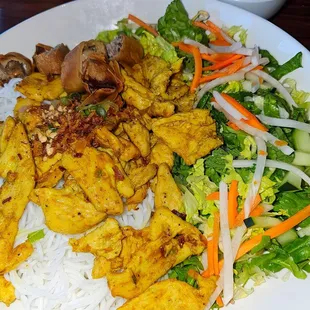 Chicken curry with spring rolls, salad, noodles and dipping sauce.