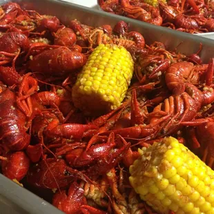 Delicious crawfish for only $4.99/lb