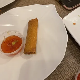 Fried spring roll from combo dish.