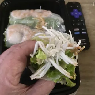 Spring rolls