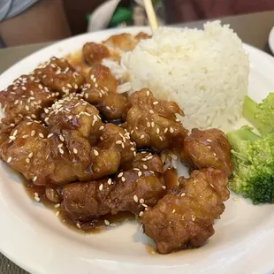 Kid's 73. Kids Sesame Chicken