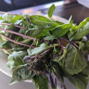 A plate of wilted herbs :(